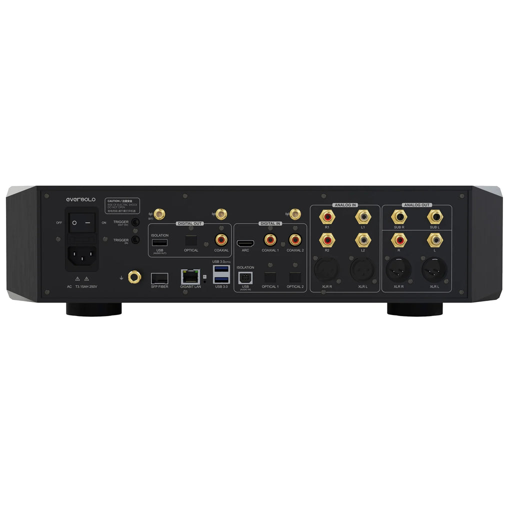 EverSolo DMP-A10