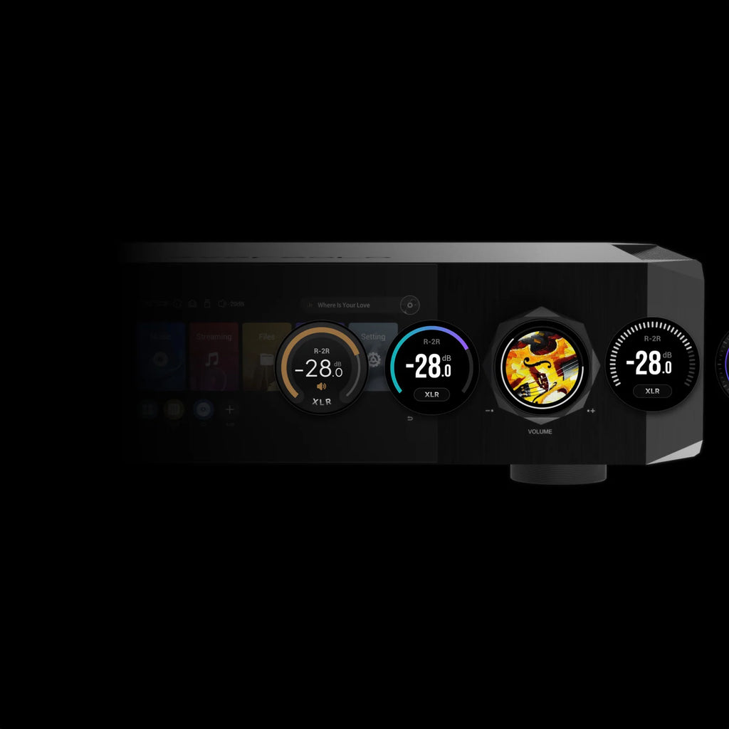 EverSolo DMP-A10