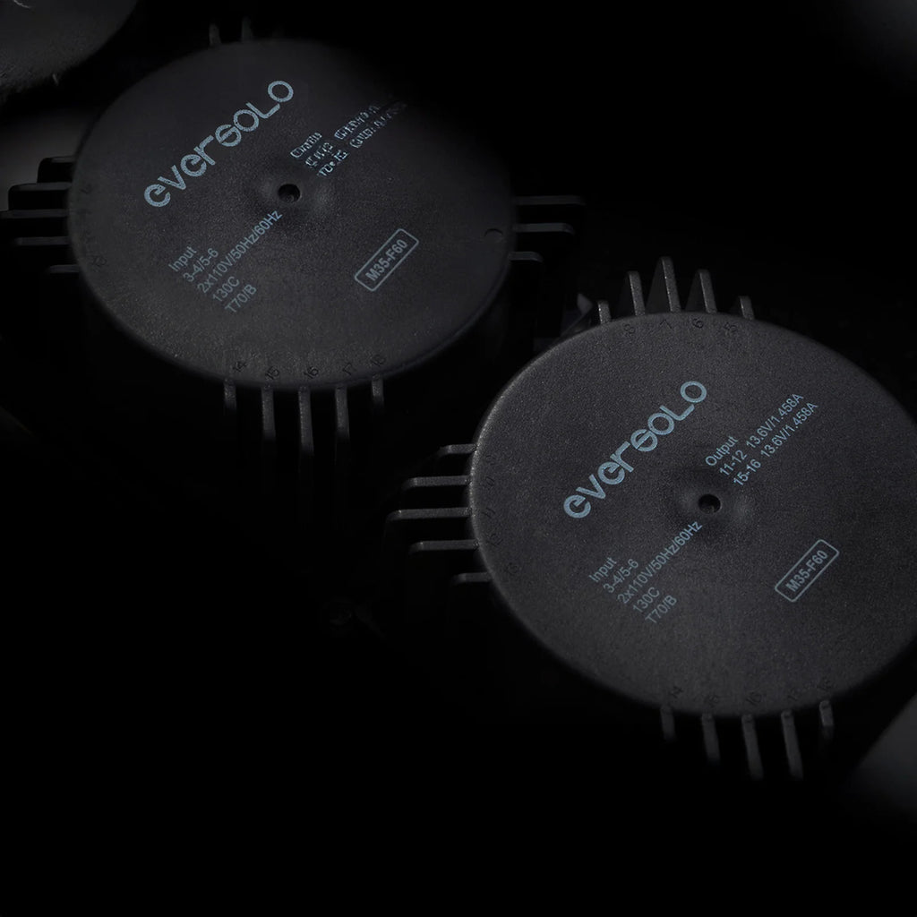 EverSolo DMP-A10