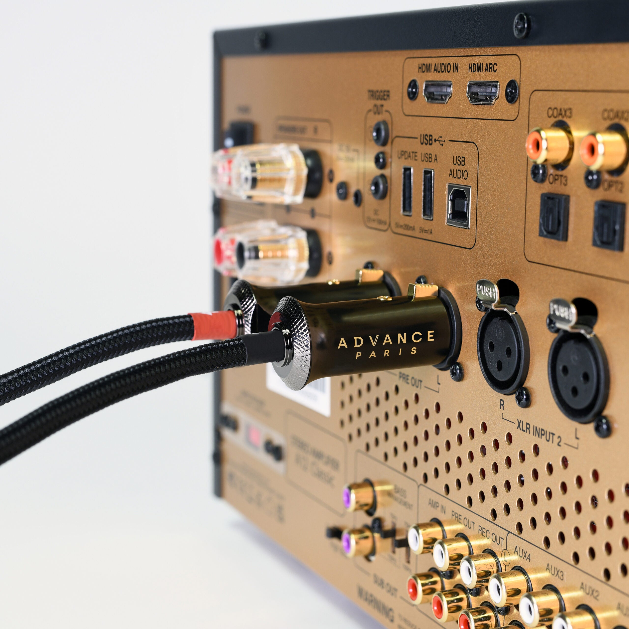 Advance Paris Link XLR