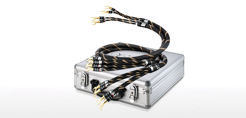 Vincent Bi-Wire-Kabel