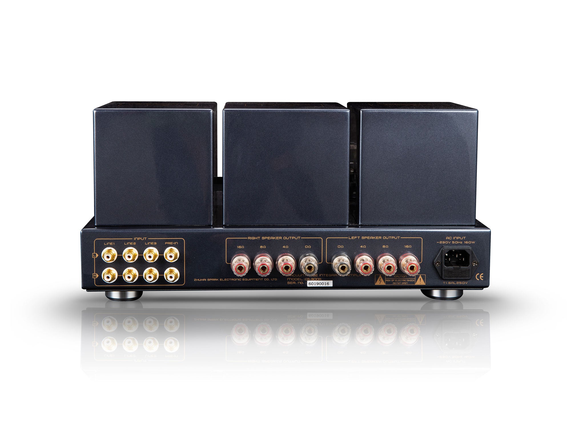 Cayin CS-300A ( Röhrenverstärker )