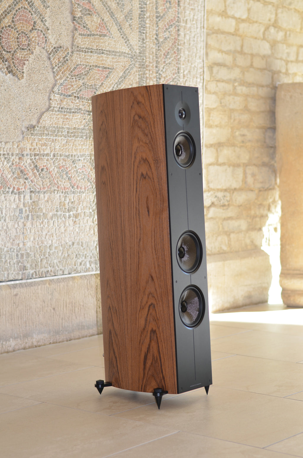 Acoustic Energy Corinium (Paarpreis)