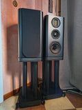 Wharfedale EVO 5.2 + EVO 5.2 Stands (Paketpreis - Aussteller)