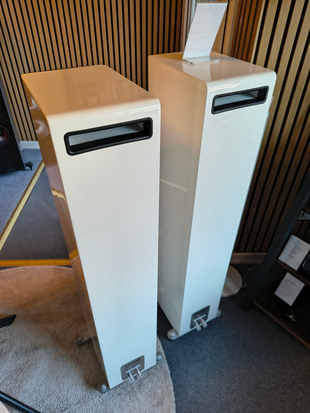 Acoustic Energy AE509 Weiß Paarpreis (Aussteller)
