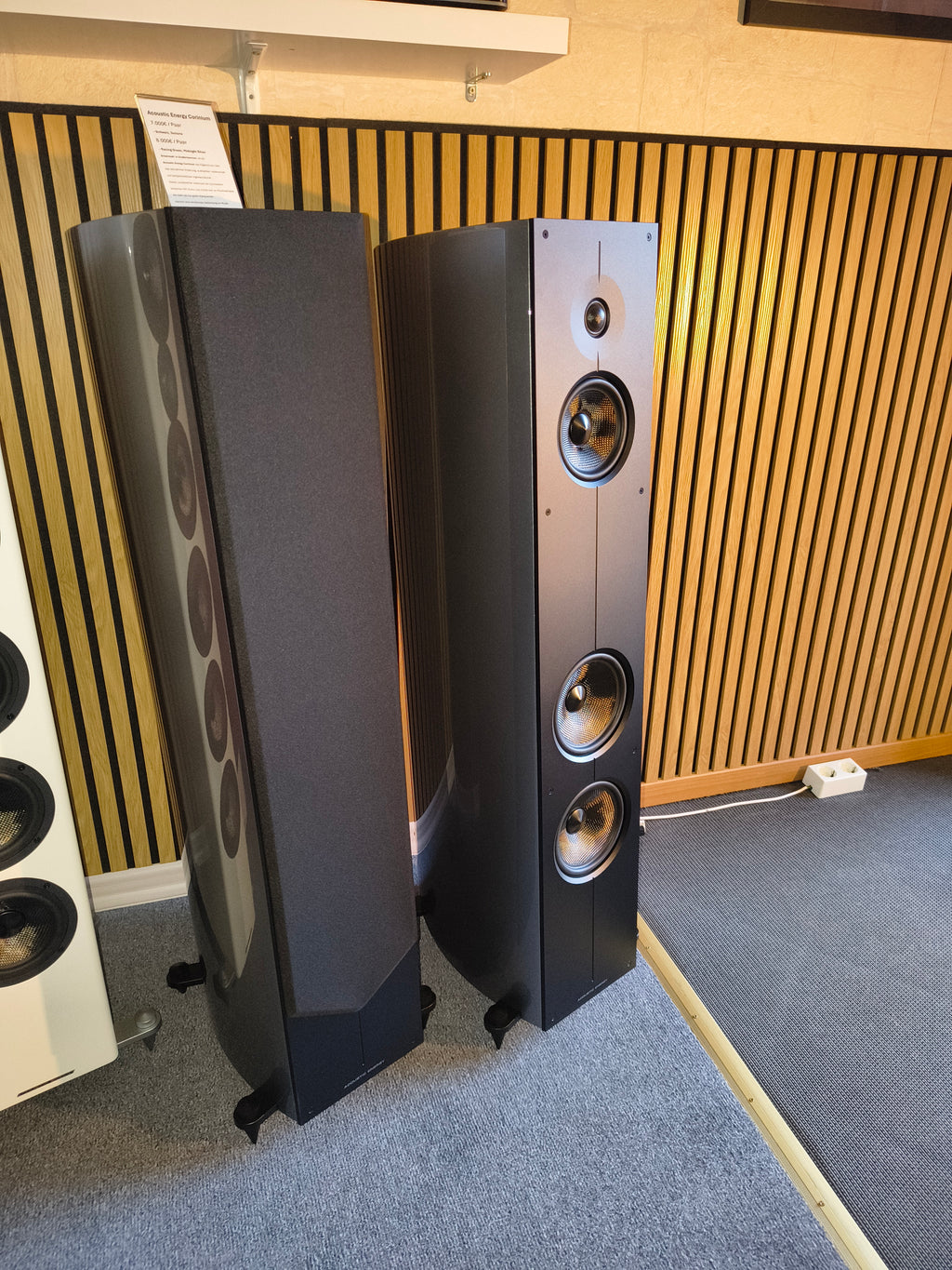 Acoustic Energy Corinium (Paarpreis - Aussteller)