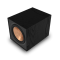 Klipsch R 101SW Subwoofer