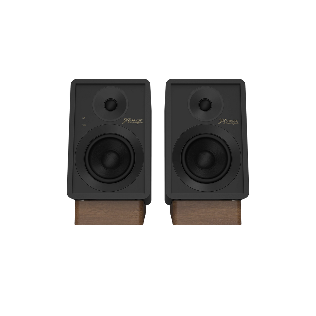 Onkyo GX-30ARC Aktiv-Lautsprecher
