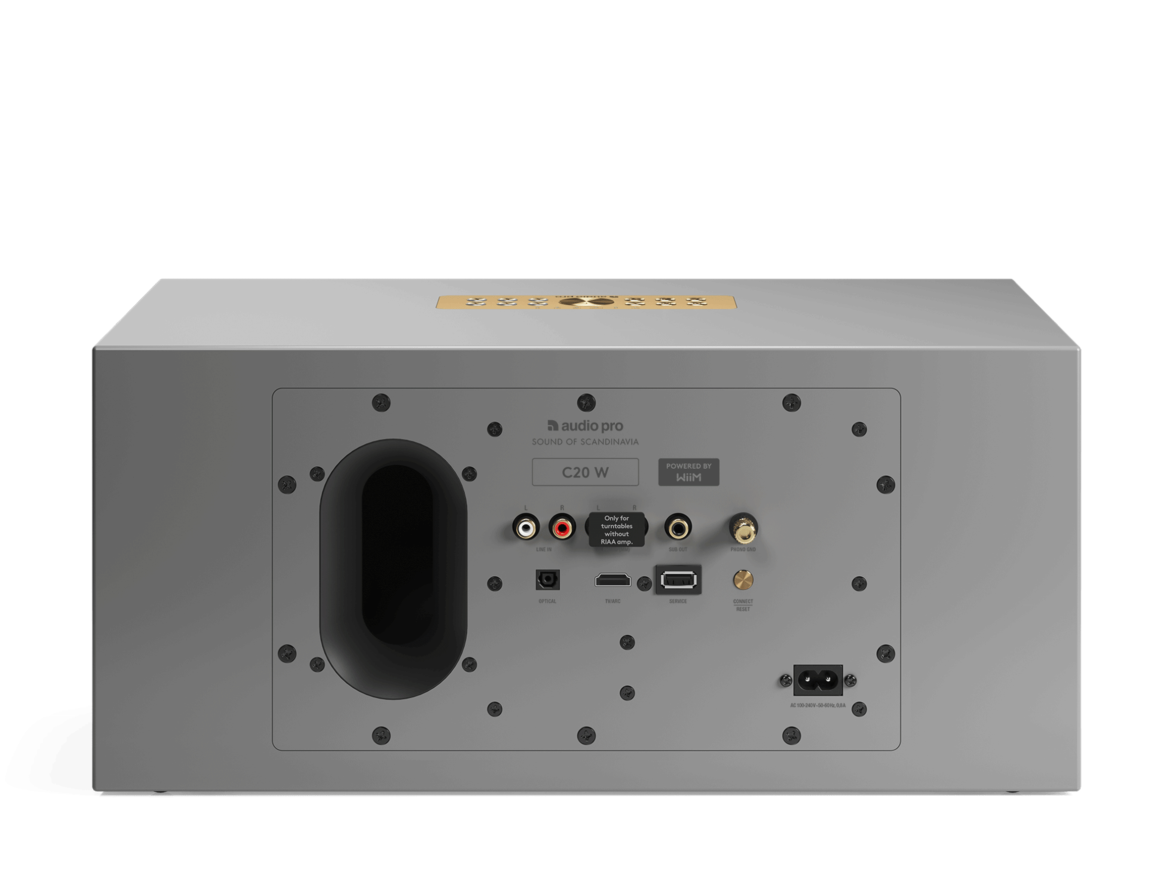 Audio Pro C20 W (Wiim Edition)