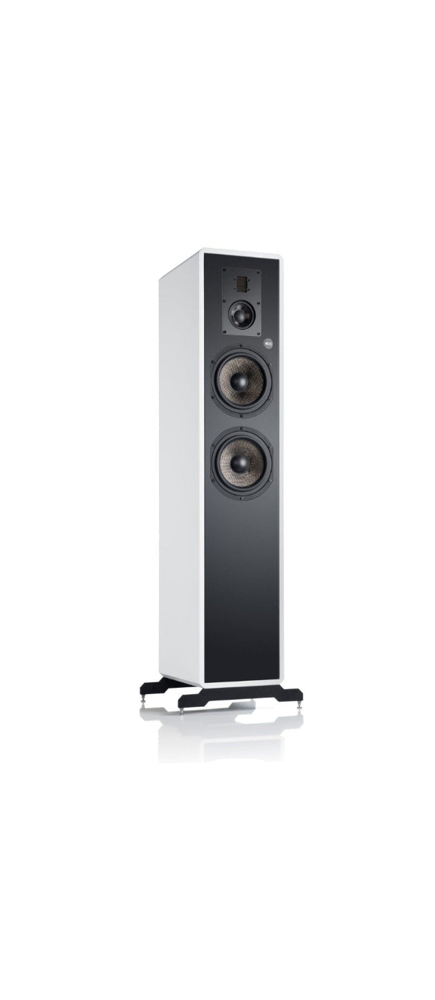 Fishhead Audio Resolution 2.6 FS