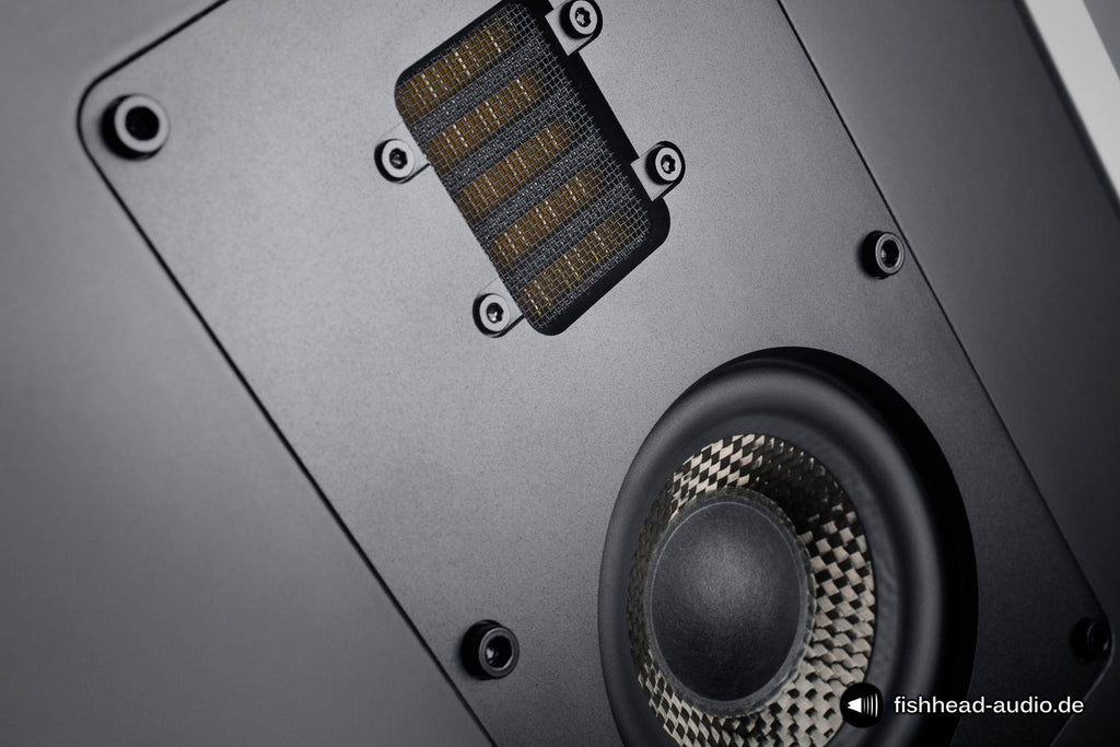 Fishhead Audio Resolution 2.6 FS