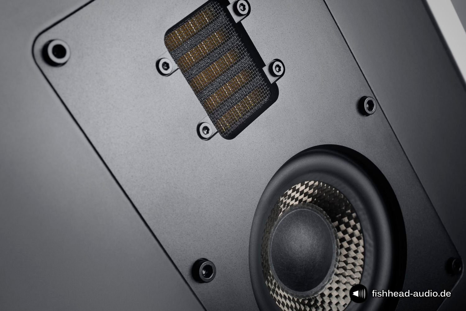 Fishhead Audio Resolution 2.6 FS