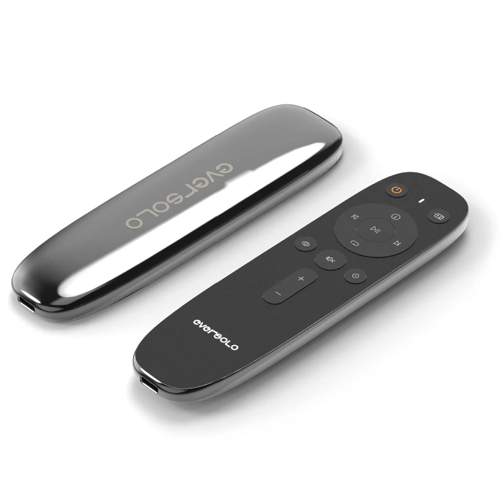 EverSolo DMP-A10