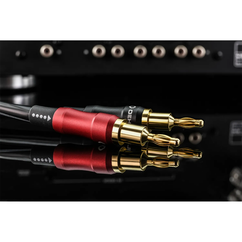 Oehlbach Transform Dual-Plug